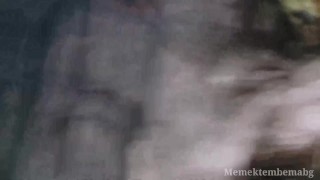 Pulang kuliah langsung ngentot